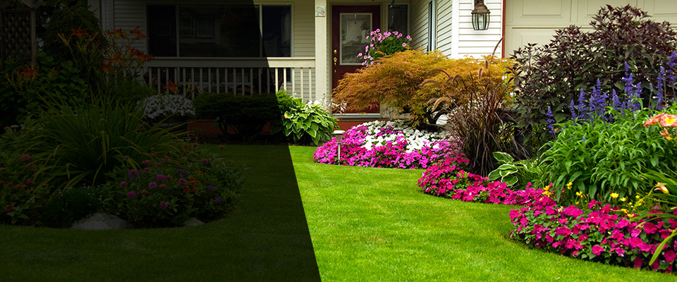 Ludowici Landscapers