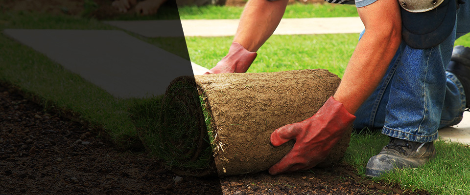 Ludowici Landscapers